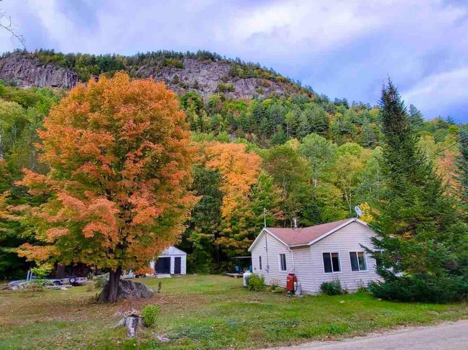 Vila Chalet Falaise By Chalets Nabu Saint-Alexis-des-Monts Exteriér fotografie